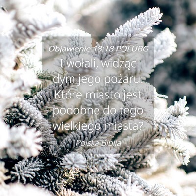 Picture 04 - Objawienie 18:18 POLUBG - I wołali, widząc dym jego pożaru: Które - Bible Verse Picture