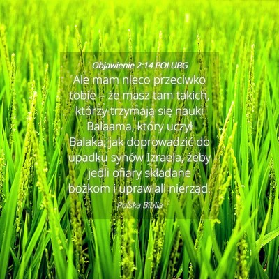 Picture 04 - Objawienie 2:14 POLUBG - Ale mam nieco przeciwko tobie – że masz tam - Bible Verse Picture