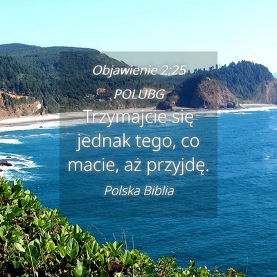 Picture 04 - Objawienie 2:25 POLUBG - Trzymajcie się jednak tego, co macie, aż - Bible Verse Picture