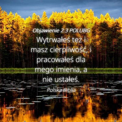 Picture 04 - Objawienie 2:3 POLUBG - Wytrwałeś też i masz cierpliwość, i - Bible Verse Picture
