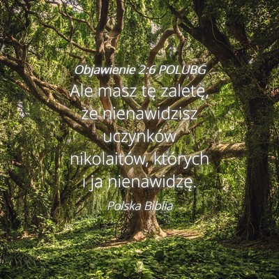 Picture 04 - Objawienie 2:6 POLUBG - Ale masz tę zaletę, że nienawidzisz uczynków - Bible Verse Picture