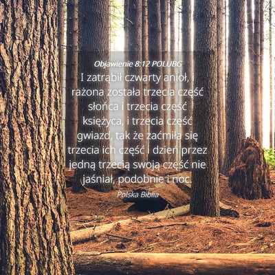 Picture 04 - Objawienie 8:12 POLUBG - I zatrąbił czwarty anioł, i rażona została - Bible Verse Picture
