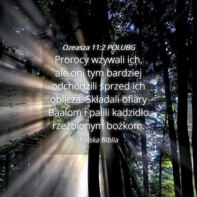 Picture 04 - Ozeasza 11:2 POLUBG - Prorocy wzywali ich, ale oni tym bardziej - Bible Verse Picture