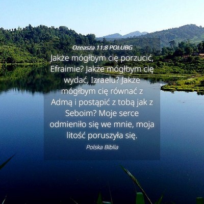 Picture 04 - Ozeasza 11:8 POLUBG - Jakże mógłbym cię porzucić, Efraimie? Jakże - Bible Verse Picture