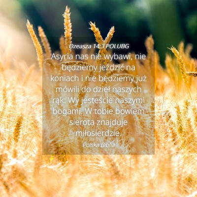 Picture 04 - Ozeasza 14:3 POLUBG - Asyria nas nie wybawi, nie będziemy jeździć na - Bible Verse Picture