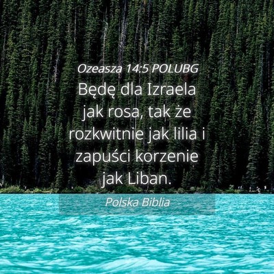 Picture 04 - Ozeasza 14:5 POLUBG - Będę dla Izraela jak rosa, tak że rozkwitnie - Bible Verse Picture