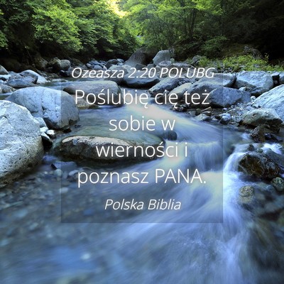 Picture 04 - Ozeasza 2:20 POLUBG - Poślubię cię też sobie w wierności i poznasz - Bible Verse Picture