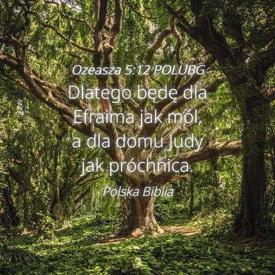 Picture 04 - Ozeasza 5:12 POLUBG - Dlatego będę dla Efraima jak mól, a dla domu - Bible Verse Picture