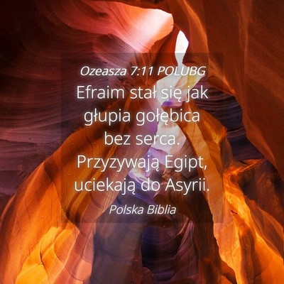 Picture 04 - Ozeasza 7:11 POLUBG - Efraim stał się jak głupia gołębica bez - Bible Verse Picture
