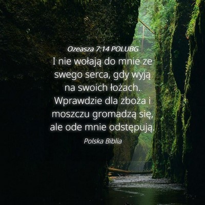 Picture 04 - Ozeasza 7:14 POLUBG - I nie wołają do mnie ze swego serca, gdy wyją - Bible Verse Picture