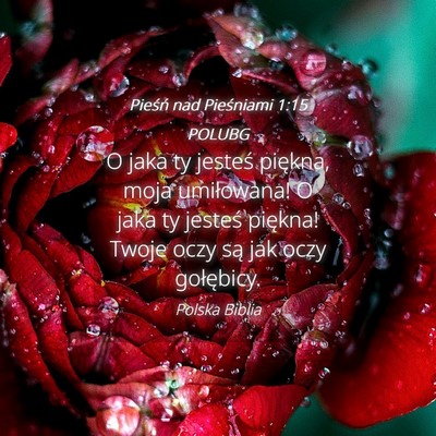 Picture 04 - Pieśń nad Pieśniami 1:15 POLUBG - O jaka ty jesteś piękna, moja umiłowana! O - Bible Verse Picture