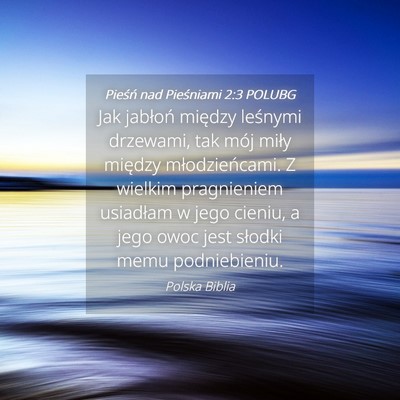 Picture 04 - Pieśń nad Pieśniami 2:3 POLUBG - Jak jabłoń między leśnymi drzewami, tak mój - Bible Verse Picture