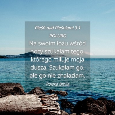 Picture 04 - Pieśń nad Pieśniami 3:1 POLUBG - Na swoim łożu wśród nocy szukałam tego, - Bible Verse Picture