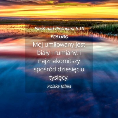 Picture 04 - Pieśń nad Pieśniami 5:10 POLUBG - Mój umiłowany jest biały i rumiany, i - Bible Verse Picture