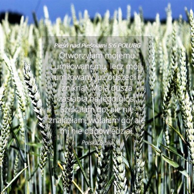 Picture 04 - Pieśń nad Pieśniami 5:6 POLUBG - Otworzyłam mojemu umiłowanemu, lecz mój - Bible Verse Picture