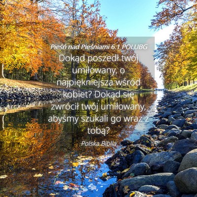 Picture 04 - Pieśń nad Pieśniami 6:1 POLUBG - Dokąd poszedł twój umiłowany, o - Bible Verse Picture