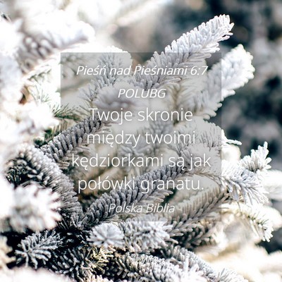 Picture 04 - Pieśń nad Pieśniami 6:7 POLUBG - Twoje skronie między twoimi kędziorkami są jak - Bible Verse Picture