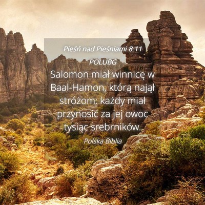 Picture 04 - Pieśń nad Pieśniami 8:11 POLUBG - Salomon miał winnicę w Baal-Hamon, którą - Bible Verse Picture