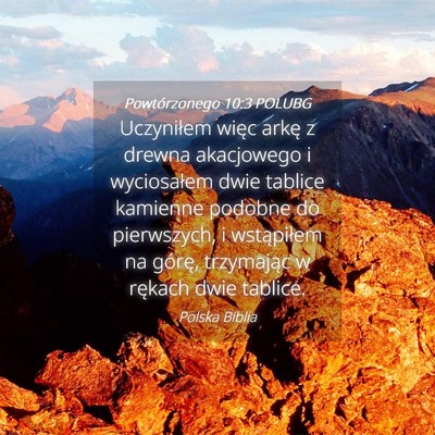 Picture 04 - Powtórzonego 10:3 POLUBG - Uczyniłem więc arkę z drewna akacjowego i - Bible Verse Picture