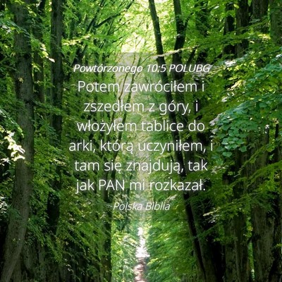 Picture 04 - Powtórzonego 10:5 POLUBG - Potem zawróciłem i zszedłem z góry, i - Bible Verse Picture