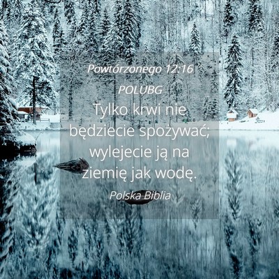 Picture 04 - Powtórzonego 12:16 POLUBG - Tylko krwi nie będziecie spożywać; wylejecie - Bible Verse Picture