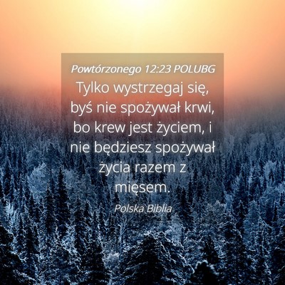 Picture 04 - Powtórzonego 12:23 POLUBG - Tylko wystrzegaj się, byś nie spożywał krwi, - Bible Verse Picture