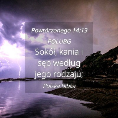 Picture 04 - Powtórzonego 14:13 POLUBG - Sokół, kania i sęp według jego - Bible Verse Picture