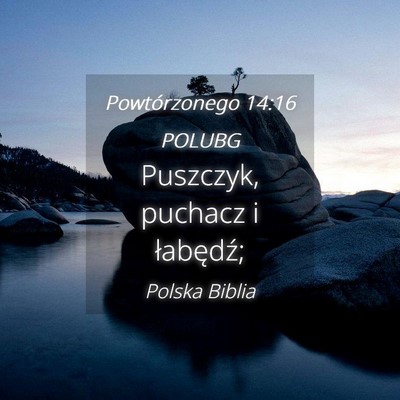 Picture 04 - Powtórzonego 14:16 POLUBG - Puszczyk, puchacz i - Bible Verse Picture