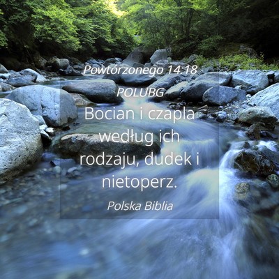 Picture 04 - Powtórzonego 14:18 POLUBG - Bocian i czapla według ich rodzaju, dudek i - Bible Verse Picture