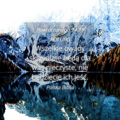Picture 04 - Powtórzonego 14:19 POLUBG - Wszelkie owady skrzydlate będą dla was - Bible Verse Picture