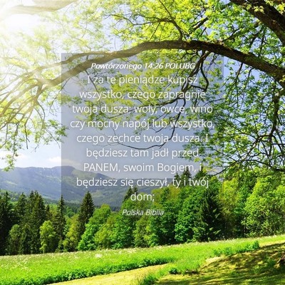 Picture 04 - Powtórzonego 14:26 POLUBG - I za te pieniądze kupisz wszystko, czego - Bible Verse Picture