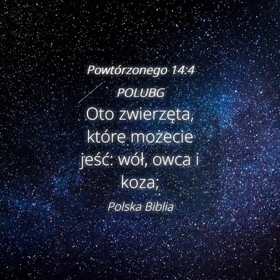 Picture 04 - Powtórzonego 14:4 POLUBG - Oto zwierzęta, które możecie jeść: wół, - Bible Verse Picture