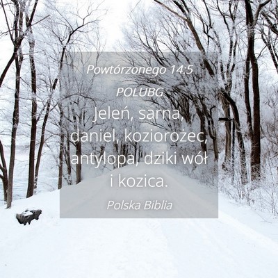 Picture 04 - Powtórzonego 14:5 POLUBG - Jeleń, sarna, daniel, koziorożec, antylopa, - Bible Verse Picture