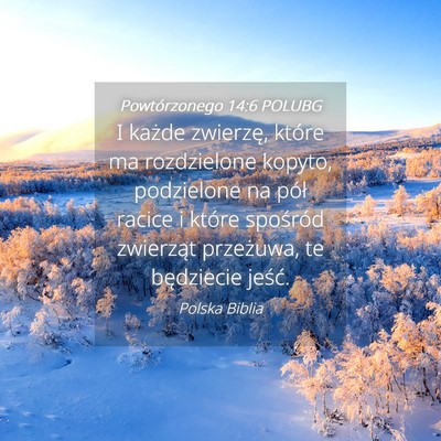 Picture 04 - Powtórzonego 14:6 POLUBG - I każde zwierzę, które ma rozdzielone kopyto, - Bible Verse Picture