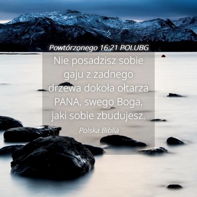 Picture 04 - Powtórzonego 16:21 POLUBG - Nie posadzisz sobie gaju z żadnego drzewa - Bible Verse Picture