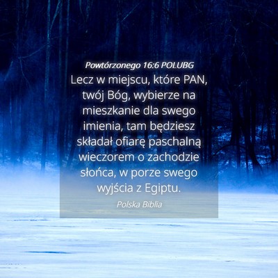 Picture 04 - Powtórzonego 16:6 POLUBG - Lecz w miejscu, które PAN, twój Bóg, wybierze - Bible Verse Picture