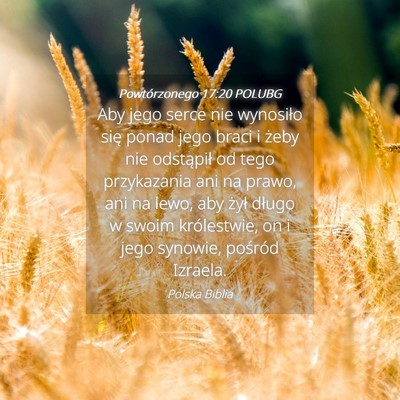Picture 04 - Powtórzonego 17:20 POLUBG - Aby jego serce nie wynosiło się ponad jego - Bible Verse Picture