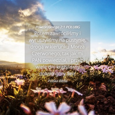 Picture 04 - Powtórzonego 2:1 POLUBG - Potem zawróciliśmy i wyruszyliśmy na - Bible Verse Picture