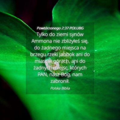 Picture 04 - Powtórzonego 2:37 POLUBG - Tylko do ziemi synów Ammona nie zbliżyłeś - Bible Verse Picture