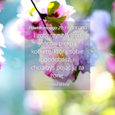 Picture 04 - Powtórzonego 21:11 POLUBG - I zobaczysz wśród jeńców piękną kobietę, - Bible Verse Picture