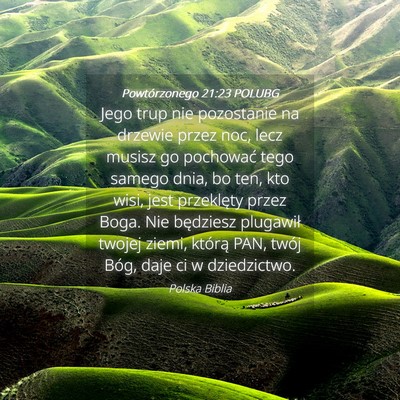 Picture 04 - Powtórzonego 21:23 POLUBG - Jego trup nie pozostanie na drzewie przez noc, - Bible Verse Picture