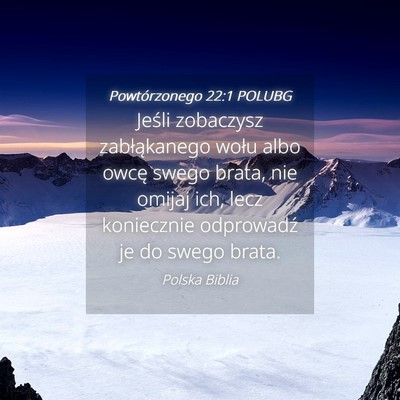 Picture 04 - Powtórzonego 22:1 POLUBG - Jeśli zobaczysz zabłąkanego wołu albo owcę - Bible Verse Picture