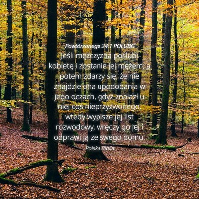 Picture 04 - Powtórzonego 24:1 POLUBG - Jeśli mężczyzna poślubi kobietę i zostanie - Bible Verse Picture