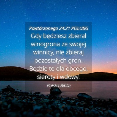 Picture 04 - Powtórzonego 24:21 POLUBG - Gdy będziesz zbierał winogrona ze swojej - Bible Verse Picture