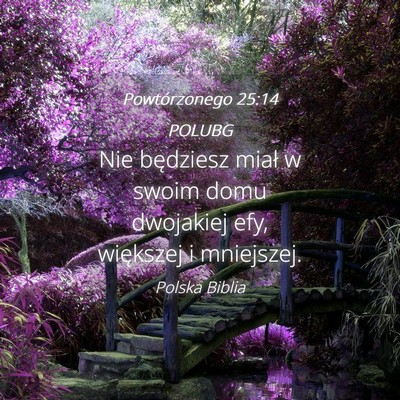 Picture 04 - Powtórzonego 25:14 POLUBG - Nie będziesz miał w swoim domu dwojakiej efy, - Bible Verse Picture