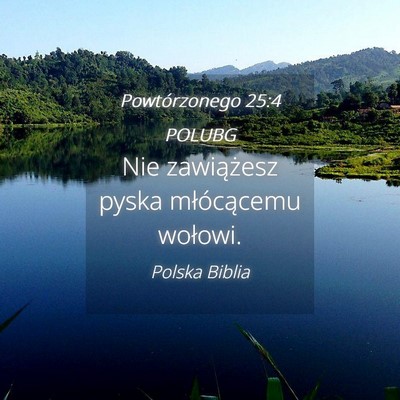 Picture 04 - Powtórzonego 25:4 POLUBG - Nie zawiążesz pyska młócącemu - Bible Verse Picture