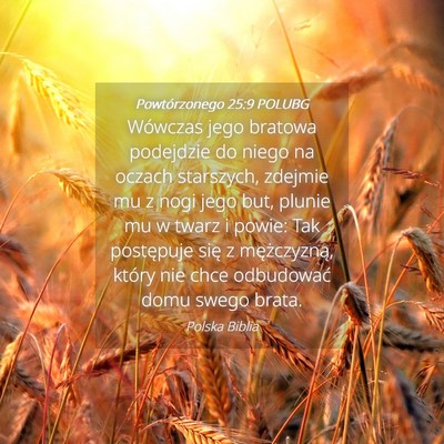 Picture 04 - Powtórzonego 25:9 POLUBG - Wówczas jego bratowa podejdzie do niego na - Bible Verse Picture