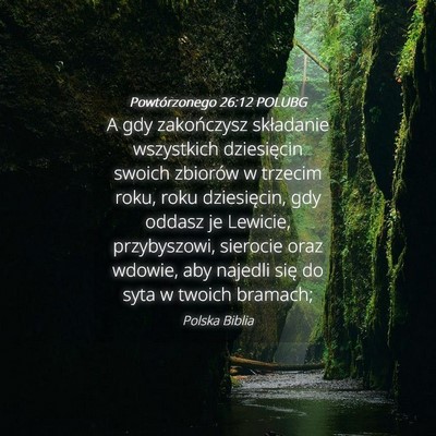 Picture 04 - Powtórzonego 26:12 POLUBG - A gdy zakończysz składanie wszystkich - Bible Verse Picture