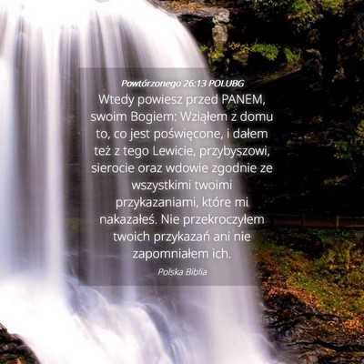 Picture 04 - Powtórzonego 26:13 POLUBG - Wtedy powiesz przed PANEM, swoim Bogiem: - Bible Verse Picture