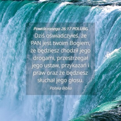 Picture 04 - Powtórzonego 26:17 POLUBG - Dziś oświadczyłeś, że PAN jest twoim Bogiem, - Bible Verse Picture
